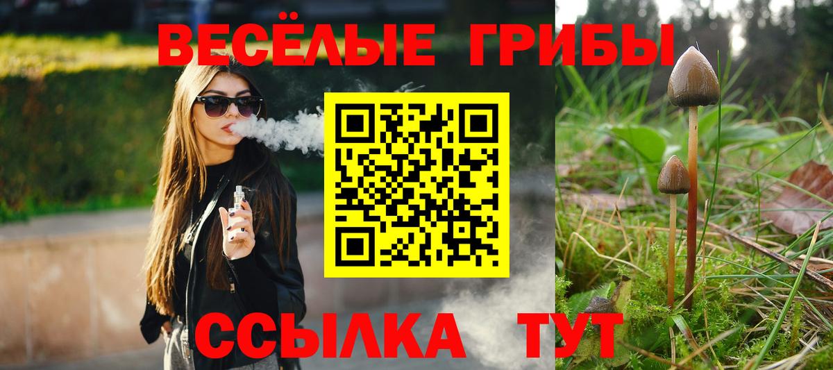 Ирбит  Галлюциногенные грибы Magic Shrooms  Вход с VPN 